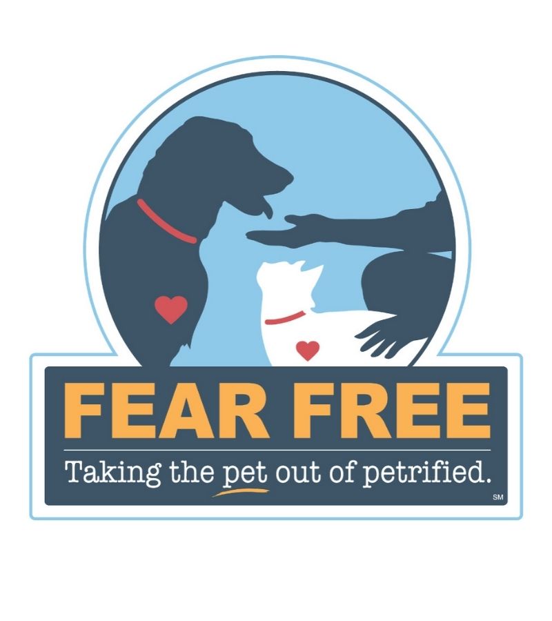 Riverwalk Pet Hospital - fear free