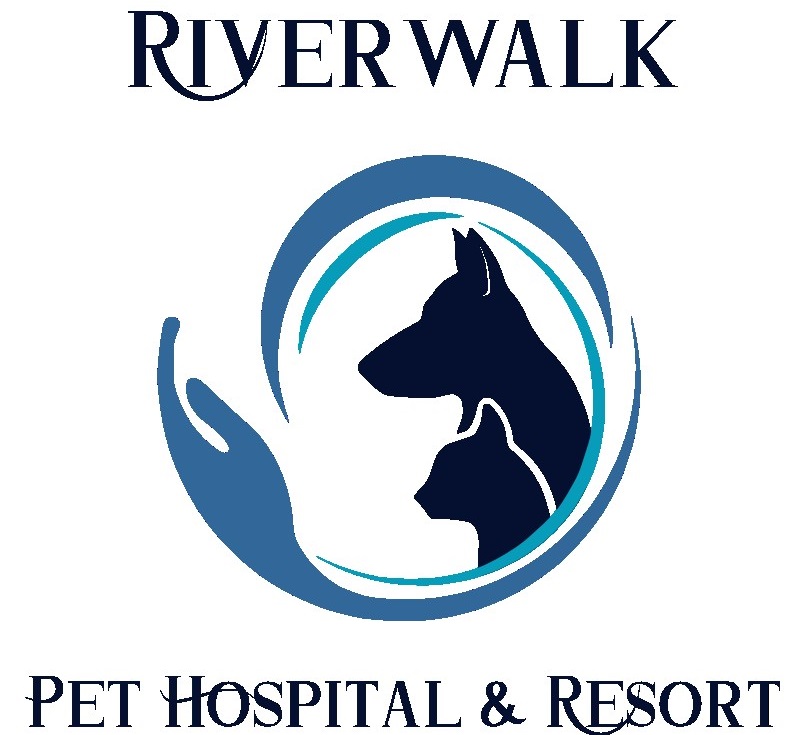 Best Vet in Grapevine and Flower Mound, TX 76051 | Riverwalk Pet Hospital &  Resort