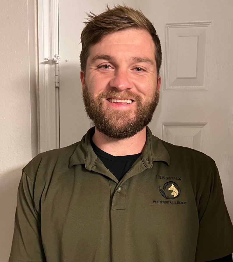 Kerry Davis - Dog Trainer